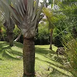 Villa Ticitron