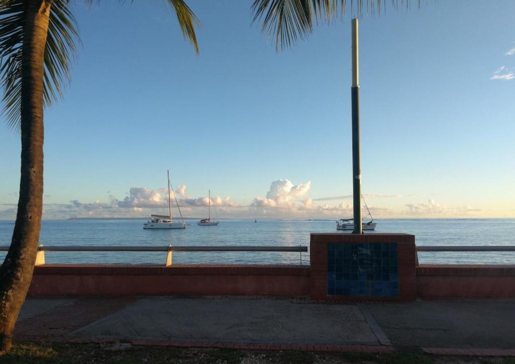 Ticitron * Sainte-Anne (Grande-Terre)
